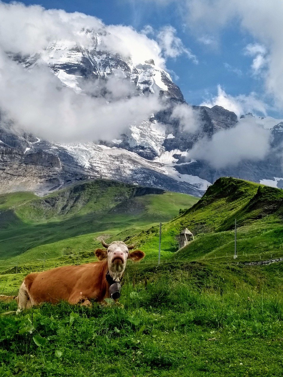 ¿Es interesante invertir en Suiza?